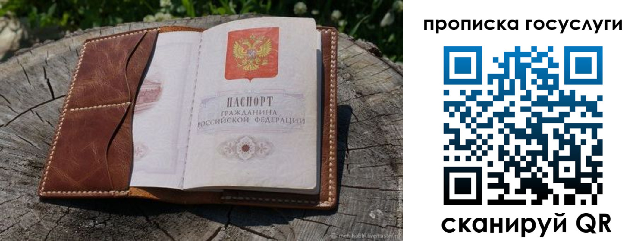 прописка для школы в Новочеркасске